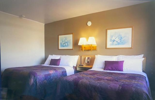 Heart O' Chicago Motel מראה חיצוני תמונה